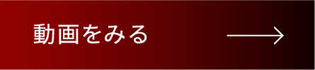 動画をみる